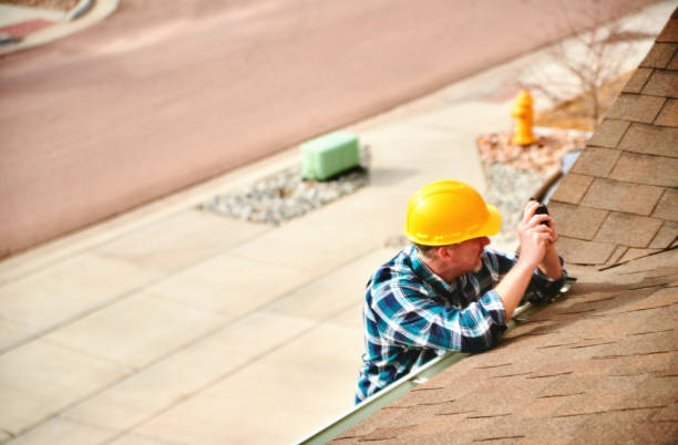 Best Roof Gutter Cleaning  in Highland, AR