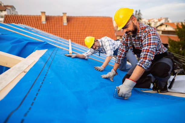 Best Roof Gutter Cleaning  in Highland, AR